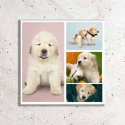 Artfia | Sell Custom Design Puppy-1
