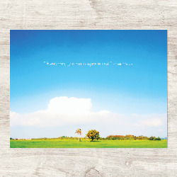 Artfia | Sell Custom Design Paddy Field | postcard,bluesky,landscape,scenery,artwork,photo,photos,photography,quote,gift