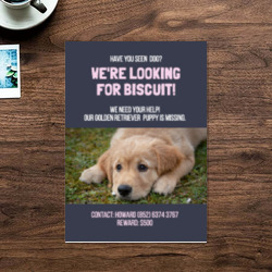 Artfia | Sell Custom Design Dog | golden retriever|retriever|sporting dog|dog|pet|hunting dog|canine|puppy|cute|golden|domestic|breed|friend|adorable|studio|pup|purebred|pets|portrait|pedigree