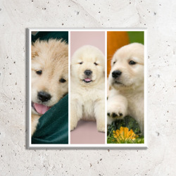 Artfia | Sell Custom Design Cute Puppy