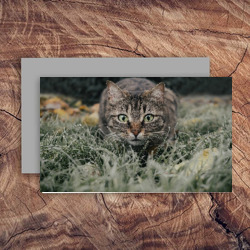 Artfia | Sell Custom Design My Design