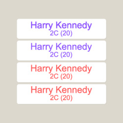 Artfia | Sell Custom Design Student Name , Class & Sudent ID