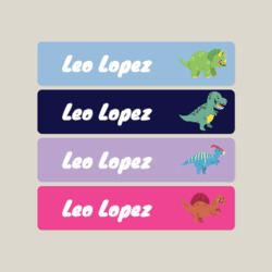 Custom Iron Dinosaur themed Name Labels Perfectly Tailored - Temu Australia