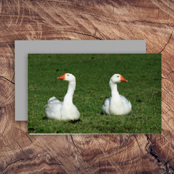 Artfia | Sell Custom Design My Design