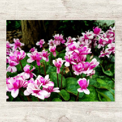 Artfia | Sell Custom Design Pink Flower