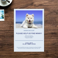 Artfia | Sell Custom Design Adoption | dog|canine|pet|fur|domestic animal|kitten|cat|domestic|cute|west highland white terrier|terrier|feline|animals|kitty|furry|pets|hunting dog|looking|whiskers|adorable